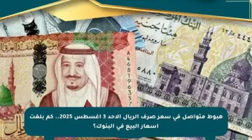هبوط متواصل في سعر صرف الريال الأحد 3 أغسطس 2025.. كم بلغت أسعار البيع في البنوك؟